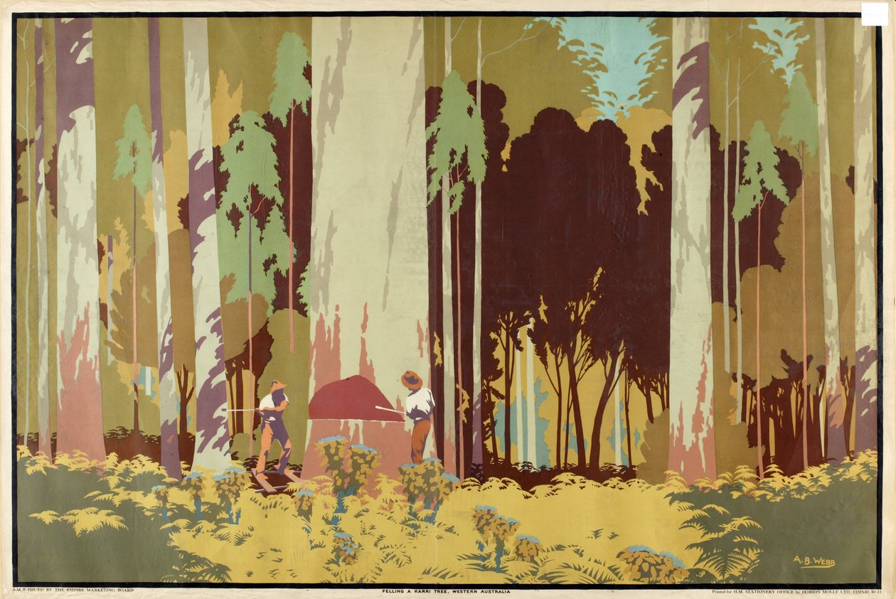 Ścięcie drzewa Karri, Australia Zachodnia, z cyklu „Australijskie bogactwo pszenicy i wełny” autorstwa Archibald Bertram Webb