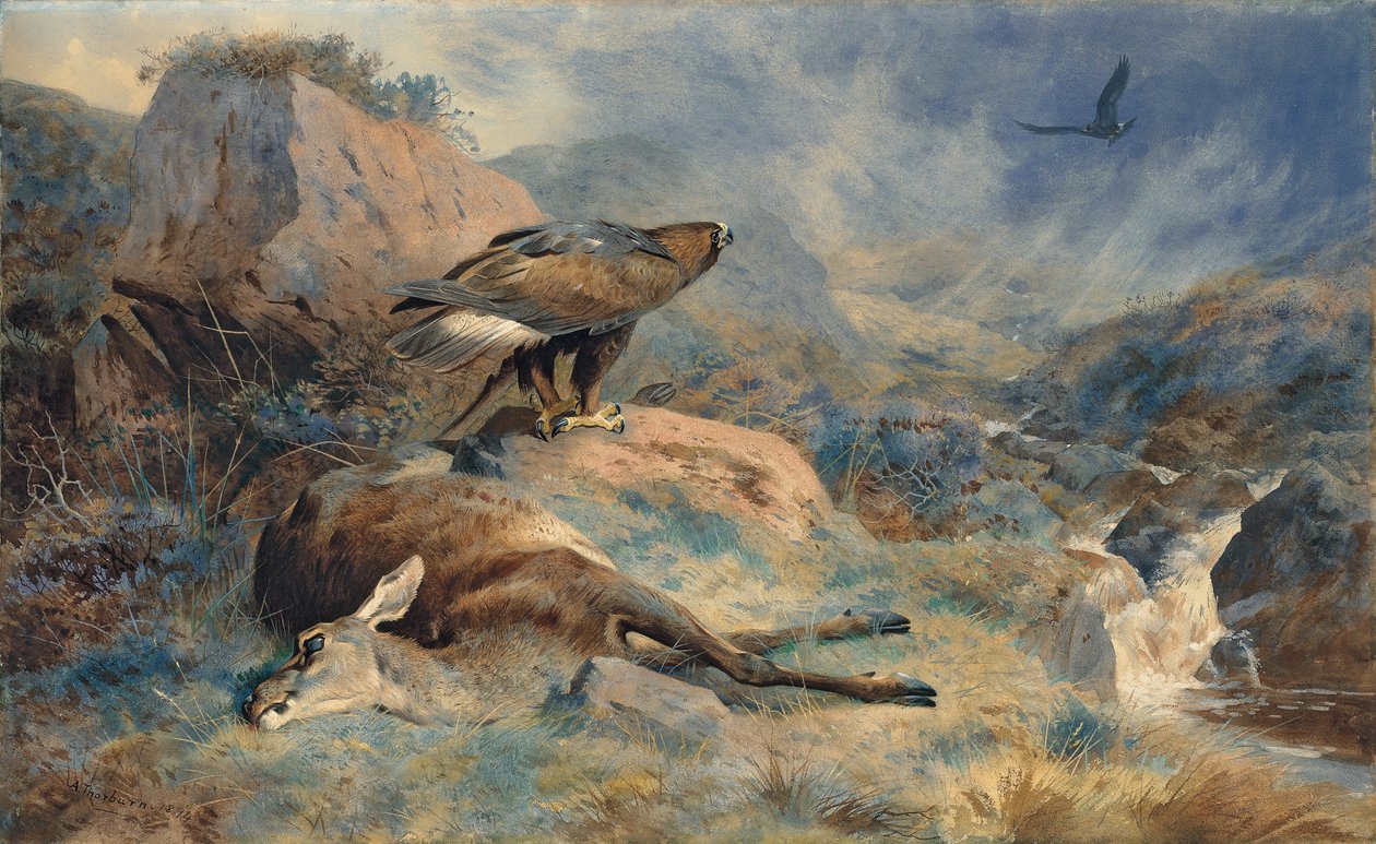 Zagubiony Hind autorstwa Archibald Thorburn