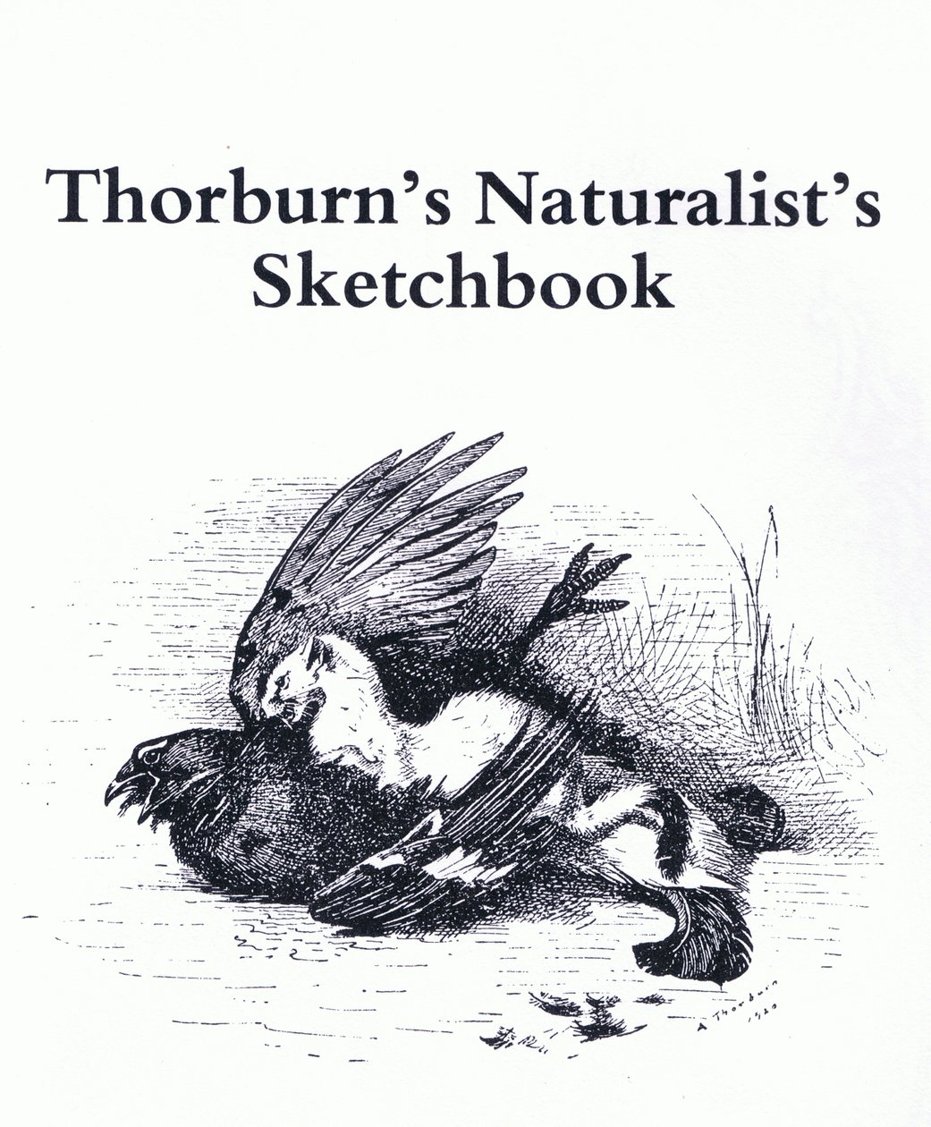 Strona tytułowa (stoat i gamebird), wyd. przez Book Club Associates autorstwa Archibald Thorburn
