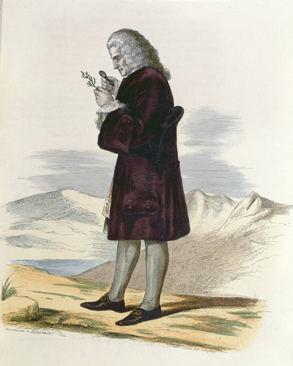 Bernard de Jussieu (1699-1777) c.1820 autorstwa Armand Guilleminot