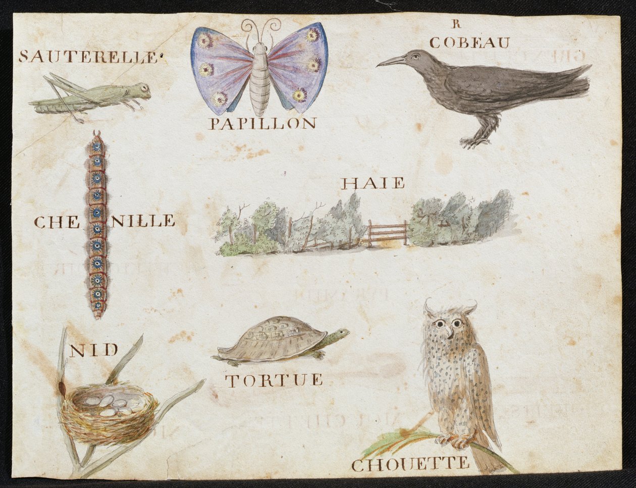 Ilustracje z "A French Alphabet Book of 1814", wyd. Charles Plante Fine Arts, 1814 r. autorstwa Arnaud de Beauregard