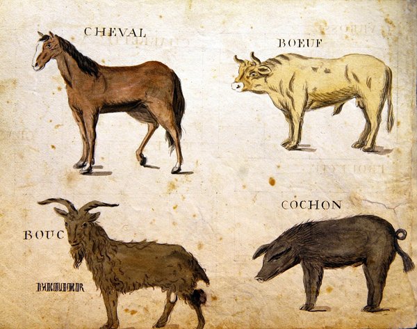 Ilustracje z "A French Alphabet Book of 1814", wyd. Charles Plante Fine Arts autorstwa Arnaud de Beauregard