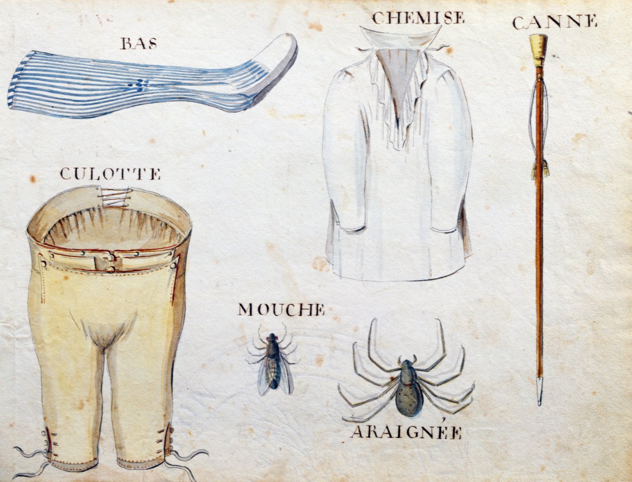 Ilustracje z "A French Alphabet Book of 1814", wyd. Charles Plante Fine Arts, 1814 r. autorstwa Arnaud de Beauregard