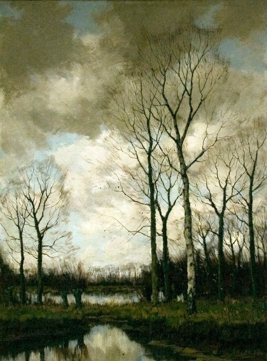 Listopadowy nastrójNederlands: Novemberstemmingn autorstwa Arnold Marc Gorter