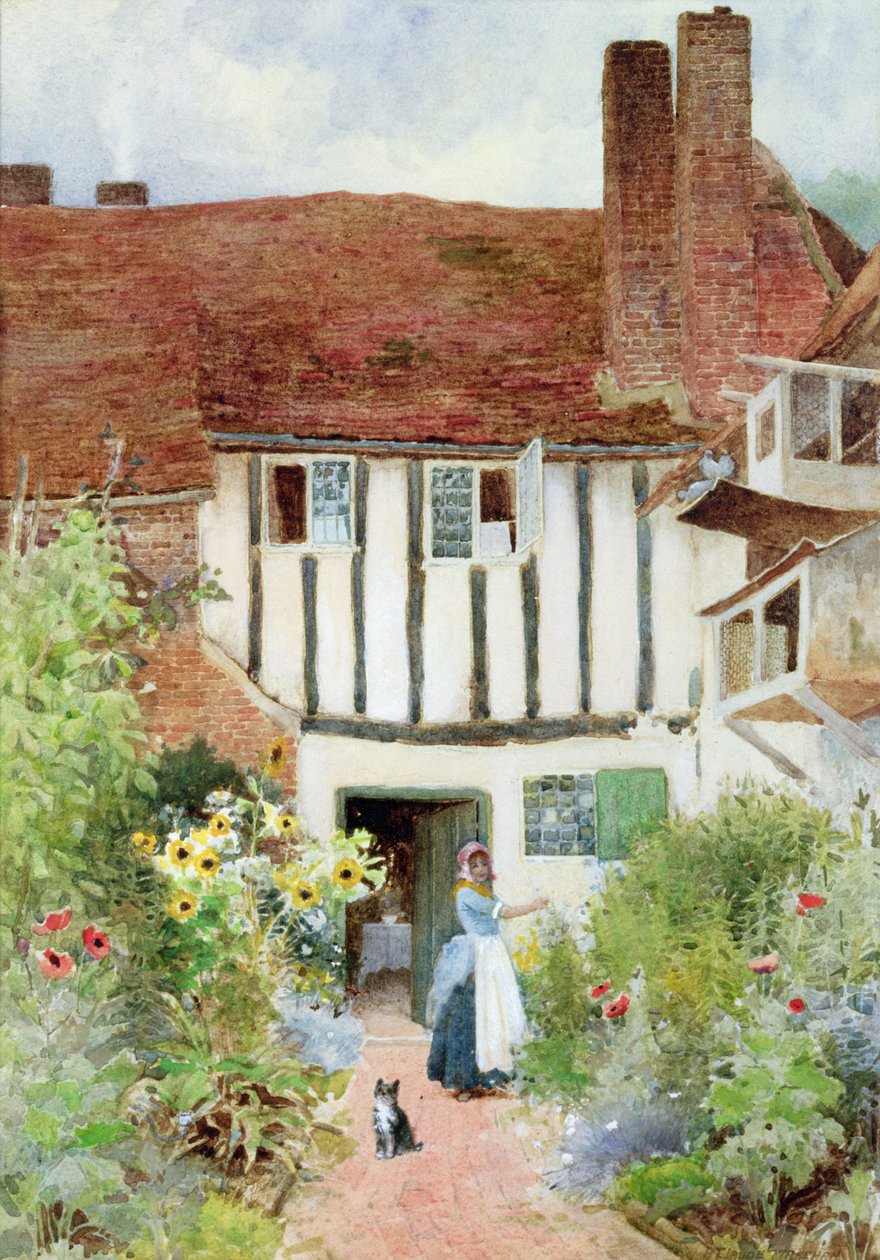Motyle autorstwa Arthur Claude Strachan