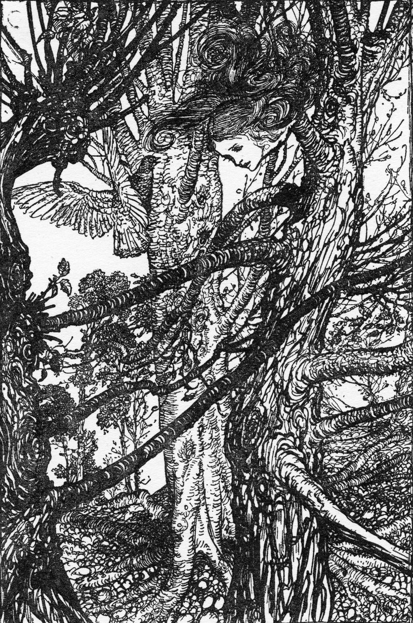 Alicja w Krainie Czarów Lewisa Carrolla autorstwa Arthur Rackham