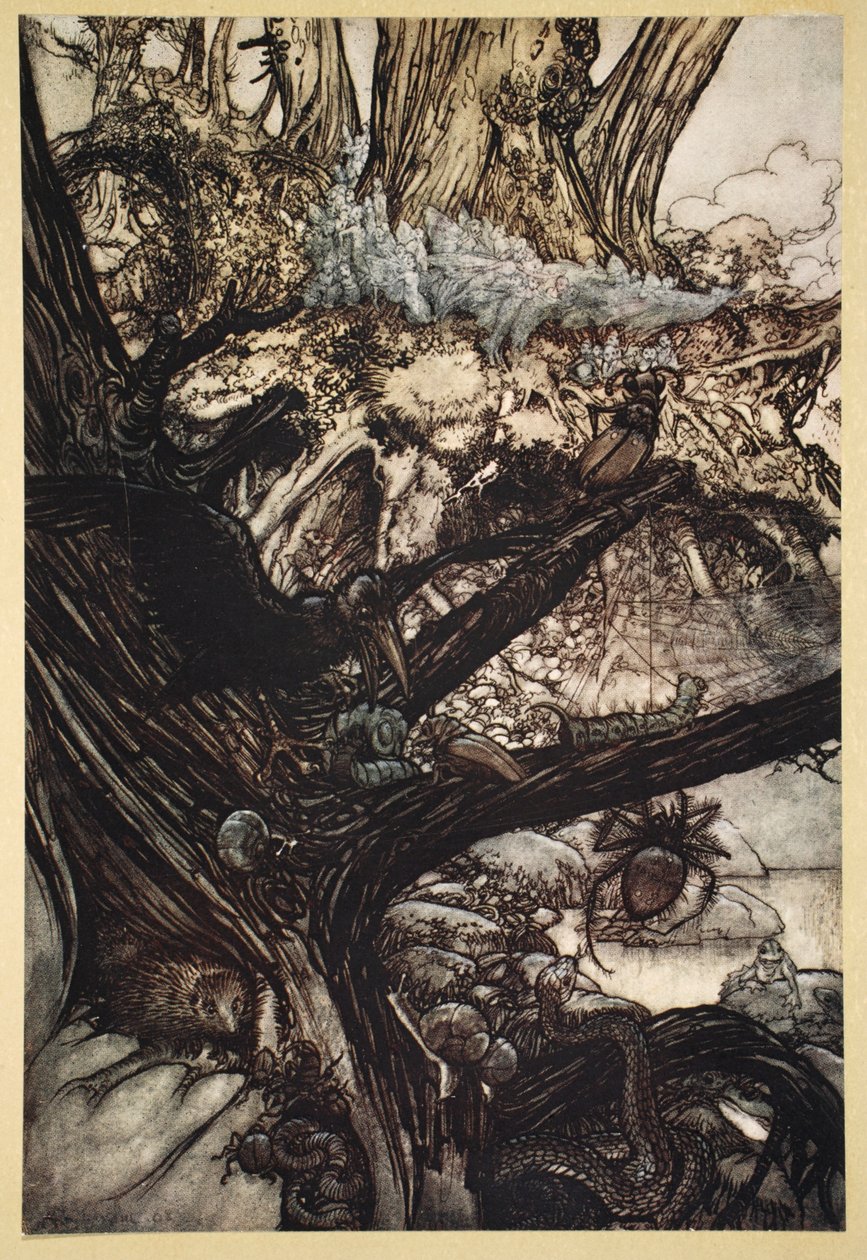 Nigdy nie krzywdź, Ani zaklęcia, ani uroku, Przyjdź nocą naszej uroczej damy, ilustracja ze „Snu nocy letniej” Williama Szekspira, 1908 autorstwa Arthur Rackham