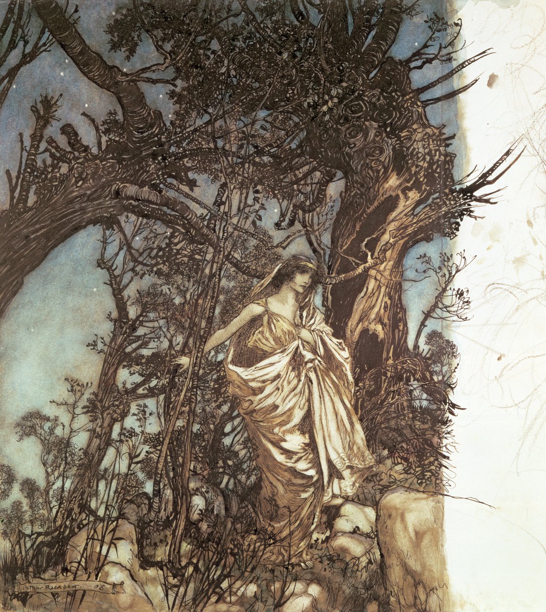 Nigdy tak znużony, nigdy tak żałosny, ilustracja do „Snu nocy letniej”, 1908 autorstwa Arthur Rackham