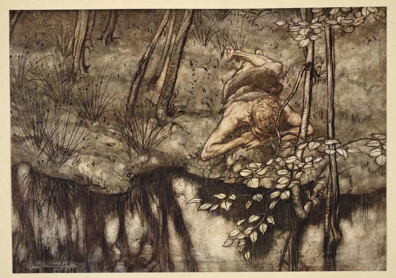 Zygfryd widzi siebie w strumieniu, ilustracja z „Zygfryda i zmierzchu bogów”, 1924 autorstwa Arthur Rackham