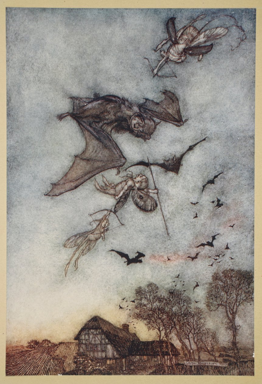Trochę wojny z myszami na powrót o skórzane skrzydła, ilustracja ze „Snu nocy letniej” Williama Szekspira, 1908 autorstwa Arthur Rackham