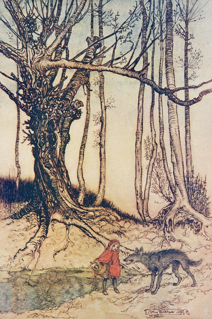 Gdy dotarła do lasu spotkała Wilka…, z The Fairy Tales of the Brothers Grimm, wyd. 1909 autorstwa Arthur Rackham