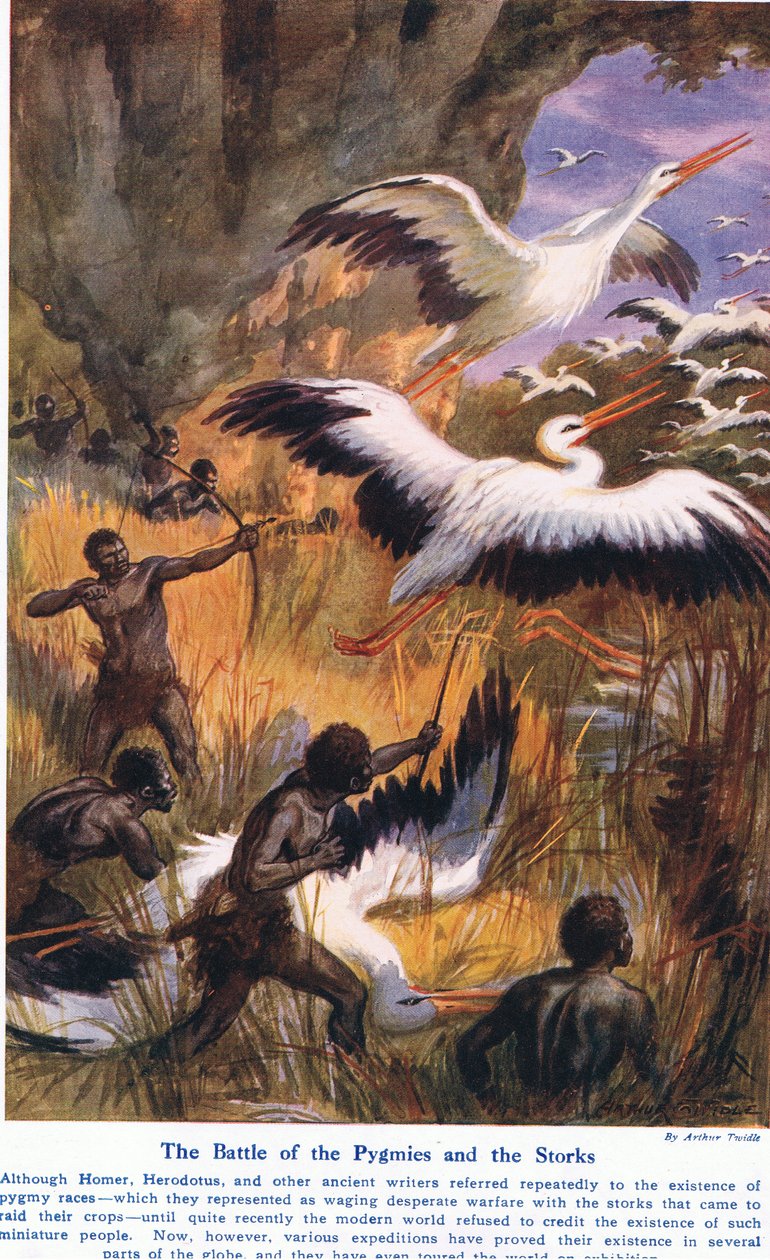 Bitwa Pigmejów i Bocianów, ilustracja z „Cuda lądu i morza”, wyd. Cassell, Londyn, 1914 autorstwa Arthur Twidle