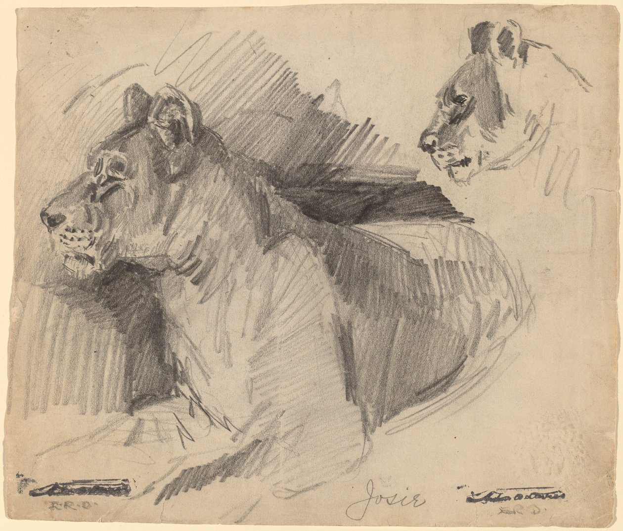 Josie autorstwa Arthur B. Davies