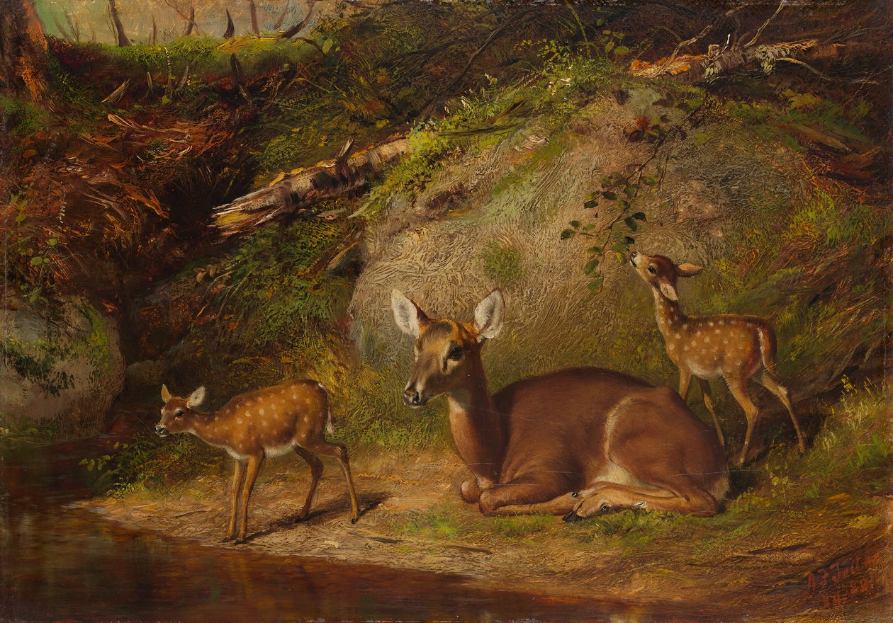 Łania i dwa jelonki, 1882. autorstwa Arthur Fitzwilliam Tait