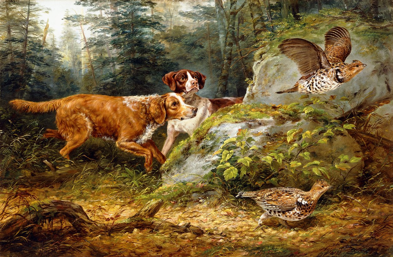 Flush: Strzelanie do cietrzewia, 1857 autorstwa Arthur Fitzwilliam Tait