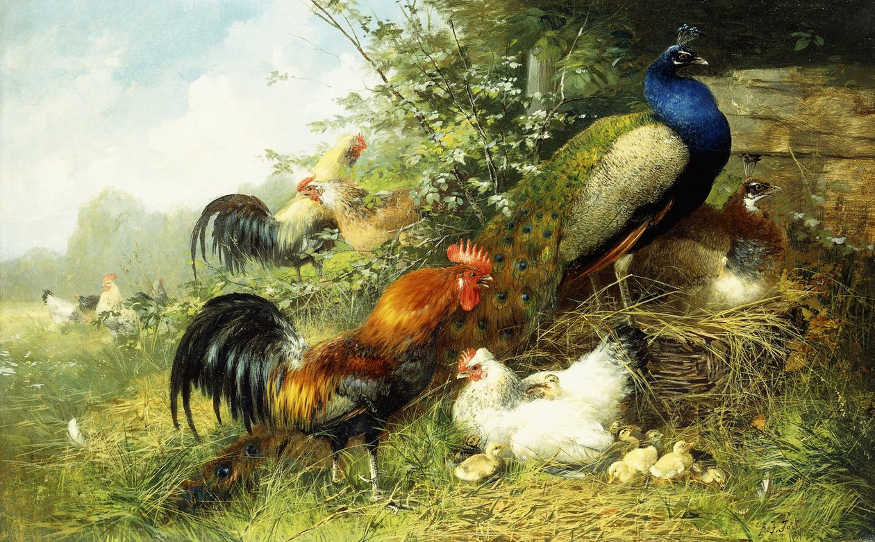 Ptactwo i pawie, 1899 autorstwa Arthur Fitzwilliam Tait