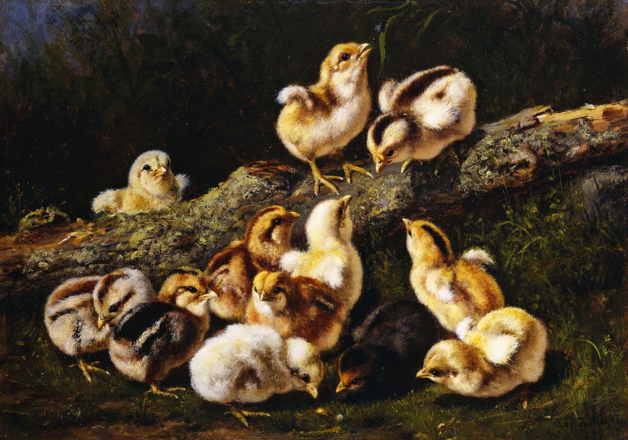 Małe zwierzęta, 1899 autorstwa Arthur Fitzwilliam Tait
