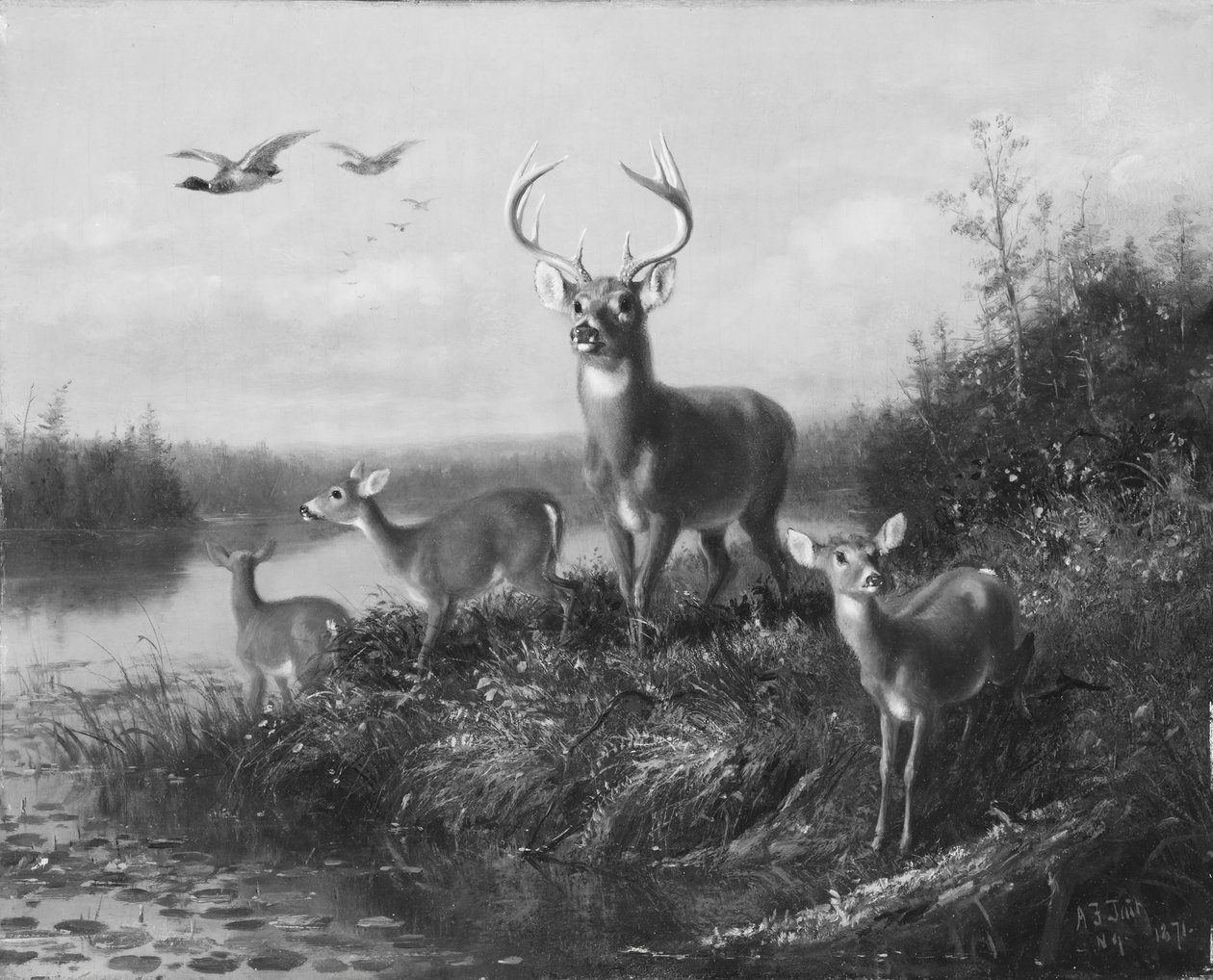 O Qui Vive, Buck i trzy łanie, 1871. autorstwa Arthur Fitzwilliam Tait