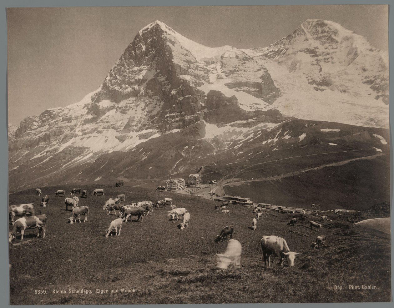 Krowy na Kleine Scheidegg w Berneńskim Oberlandzie, w tle Eiger i Mönch Kleine Scheidegg, Eiger und Moench (tytuł na obiekcie) autorstwa Arthur Gabler