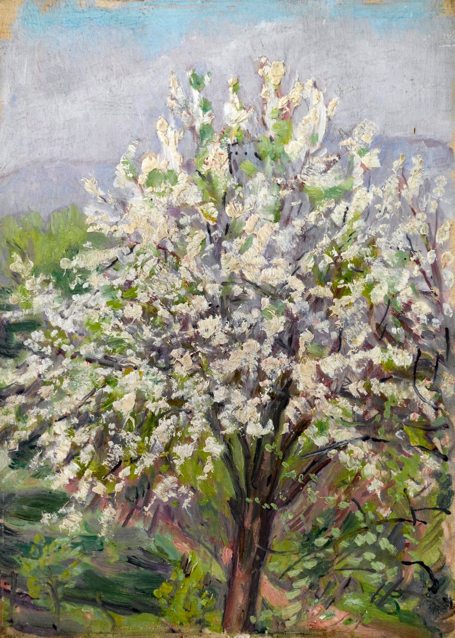 Kwiat migdałowy autorstwa Arthur Haythorne Studd