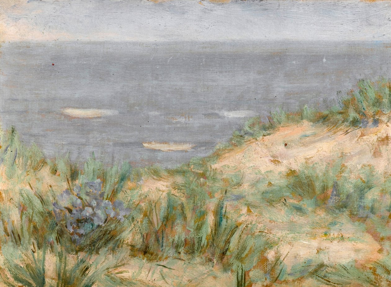 Widok na morze z wydmami, kwitnąca trawa morska, ok.1900 autorstwa Arthur Haythorne Studd