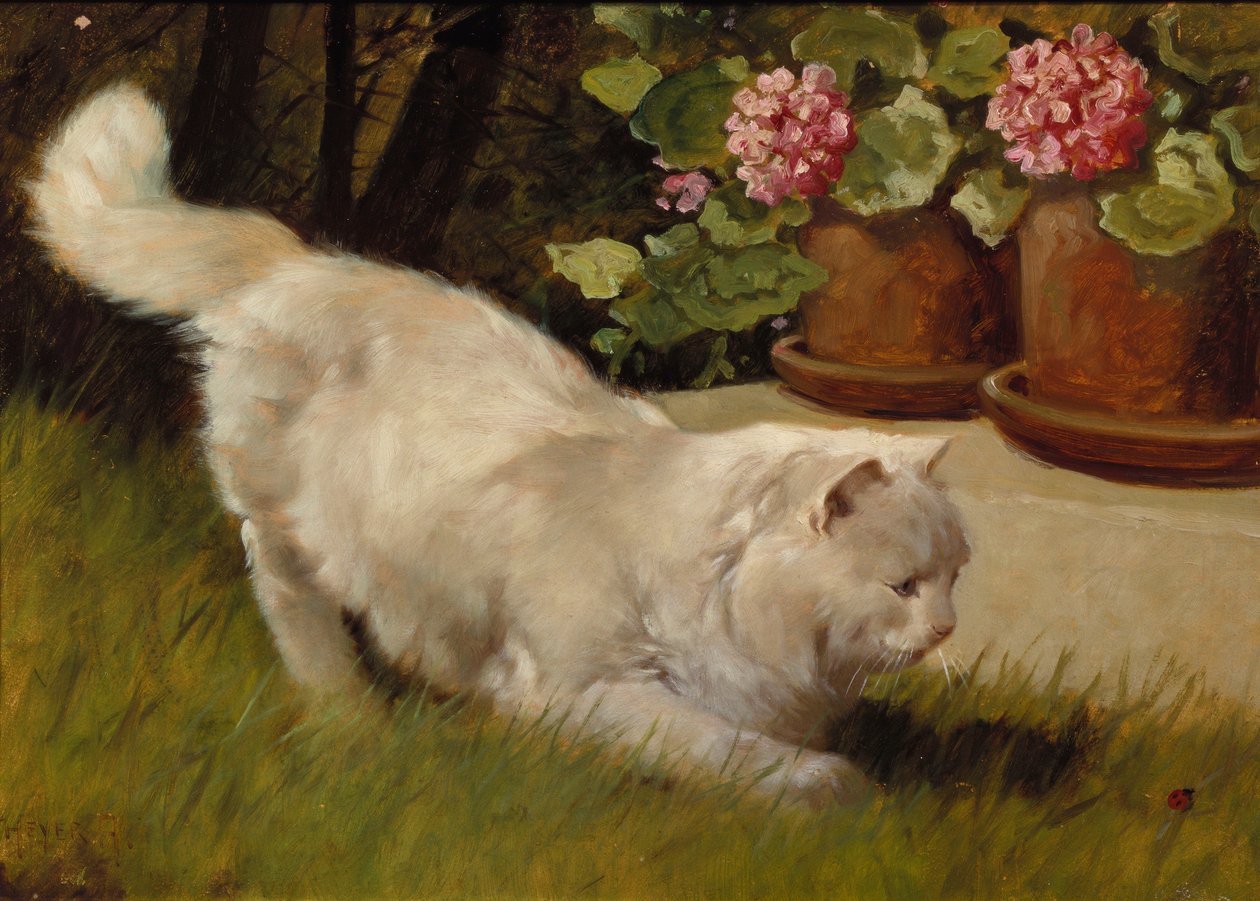 Biały kot perski z biedronką (olej na pokładzie) autorstwa Arthur Heyer