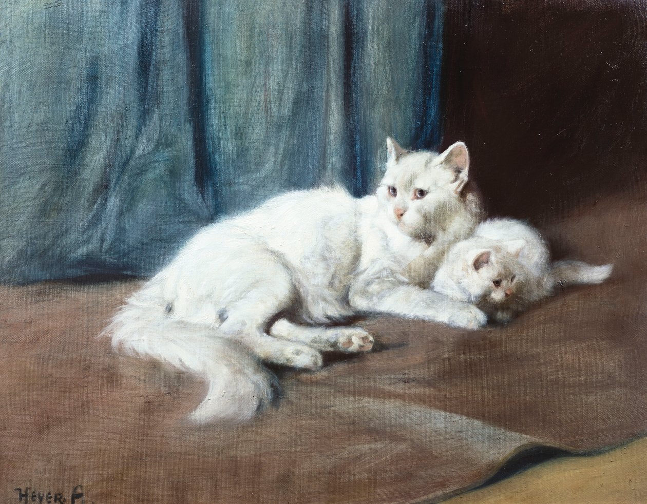 Biały kot perski z kociętami (olej na płótnie) autorstwa Arthur Heyer