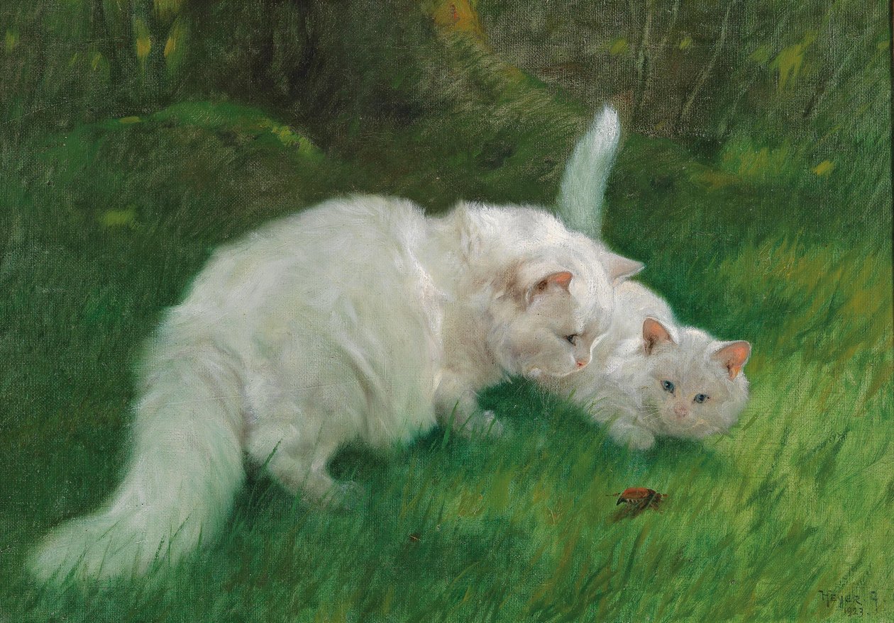 Arthur Heyer Ciekawe odkrycie w 1923 roku autorstwa Arthur Heyer