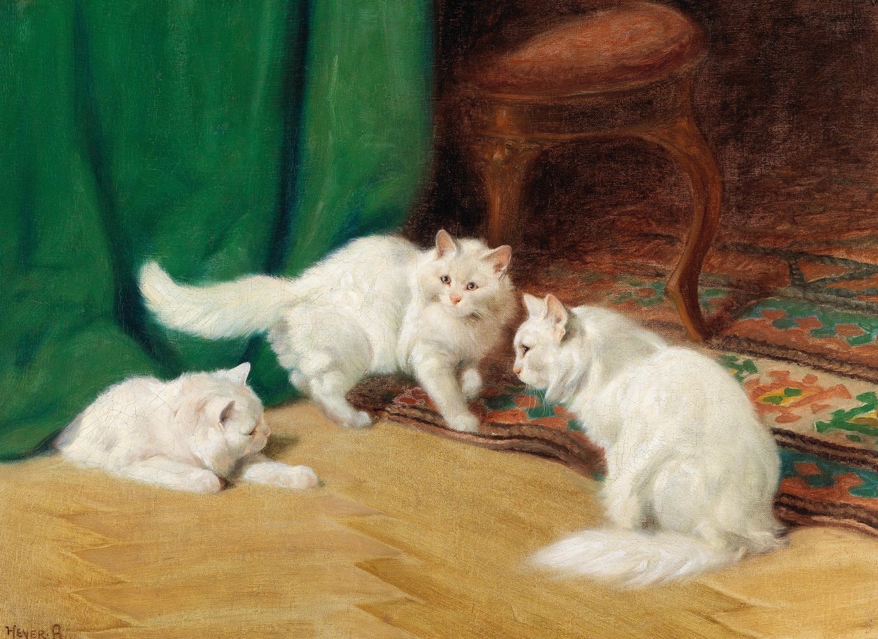 Rozmowa między kotami, autorstwa Arthur Heyer