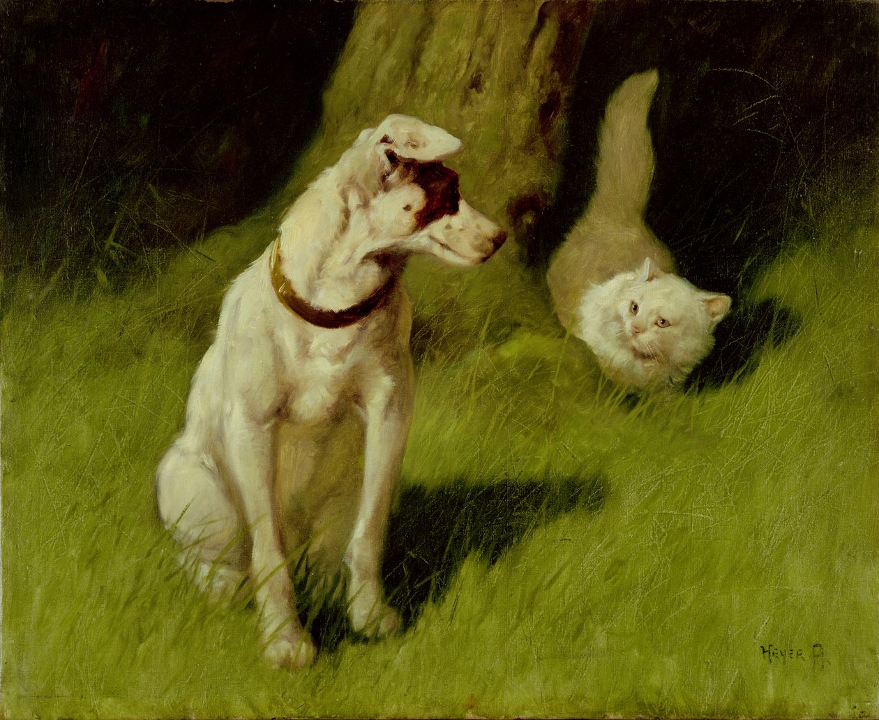 Biały kot perski i Jack Russell autorstwa Arthur Heyer