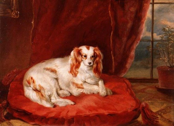 Cavalier King Charles Spaniel leżący na czerwonej poduszce autorstwa Arthur J. Stark