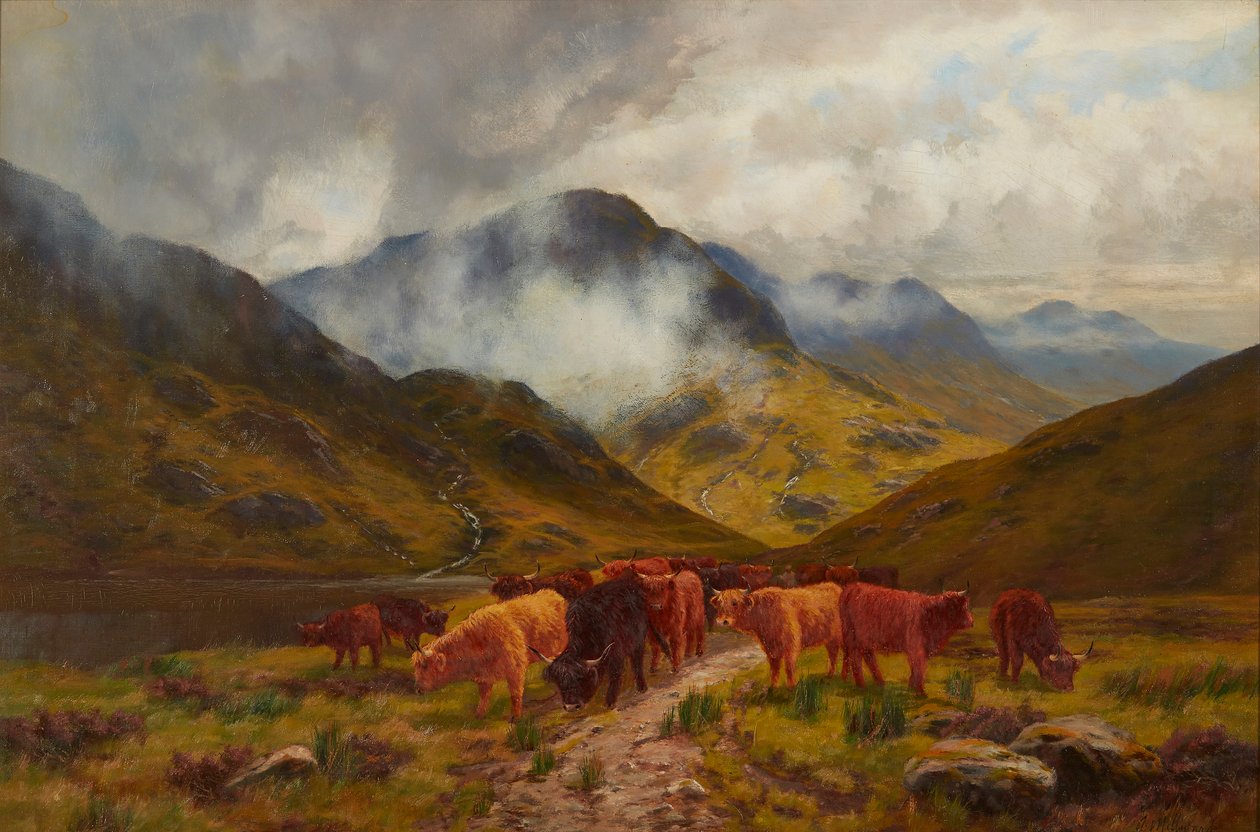 Bydło wyżynne (olej na płótnie) autorstwa Arthur Millward