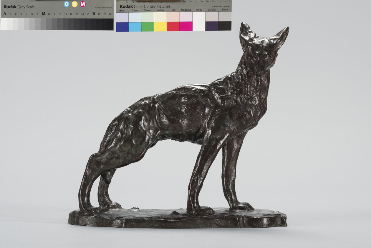 Alert Coyote (brąz) autorstwa Arthur Putnam