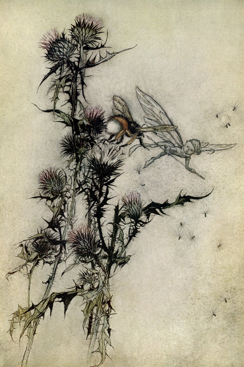 Sen nocy letniej autorstwa Arthur Rackham