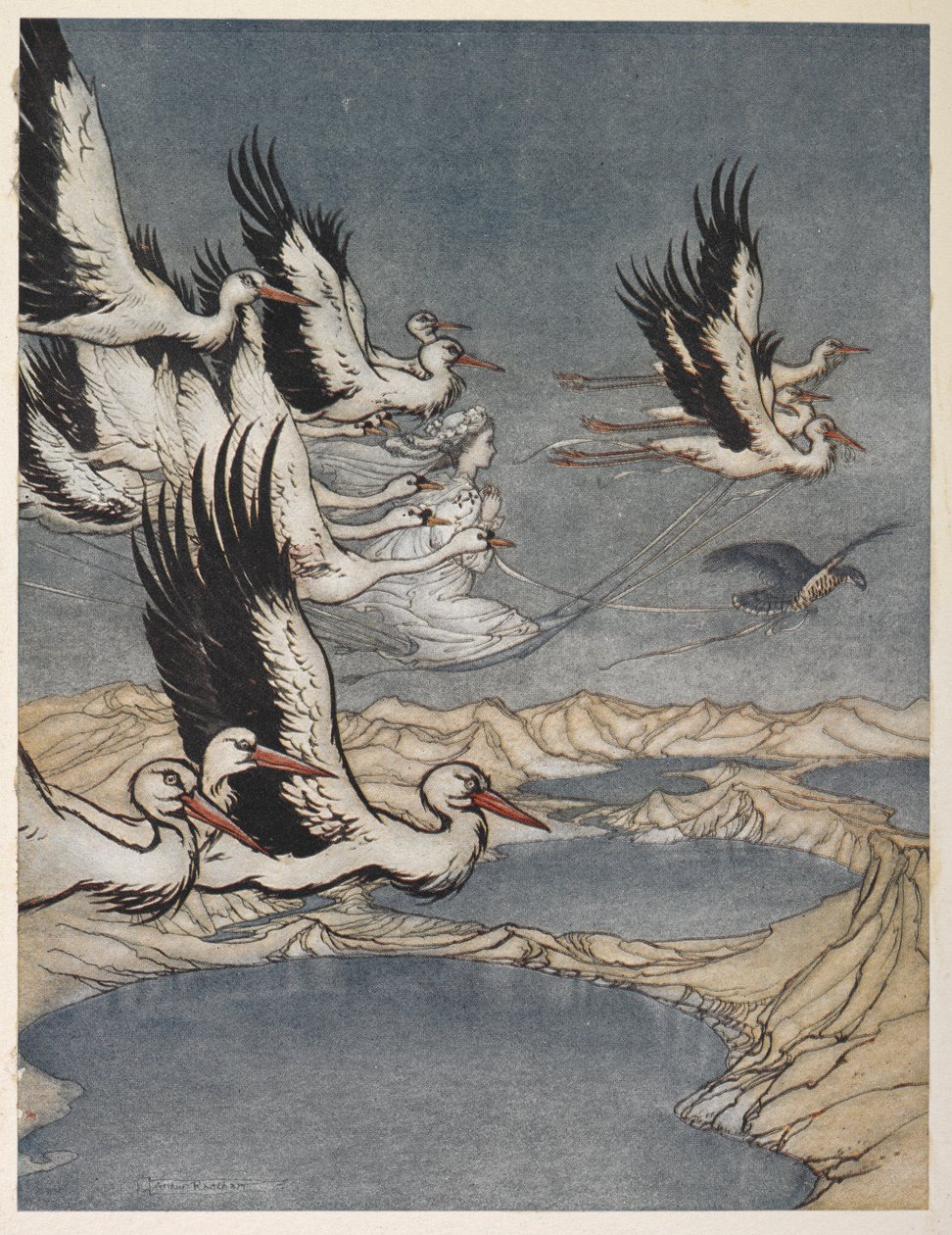 Stado ptaków unoszących córkę Earla Mara w przeddzień jej ślubu autorstwa Arthur Rackham