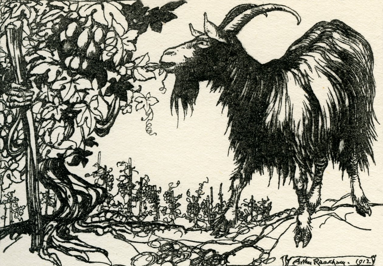 Bajki Ezopa autorstwa Arthur Rackham