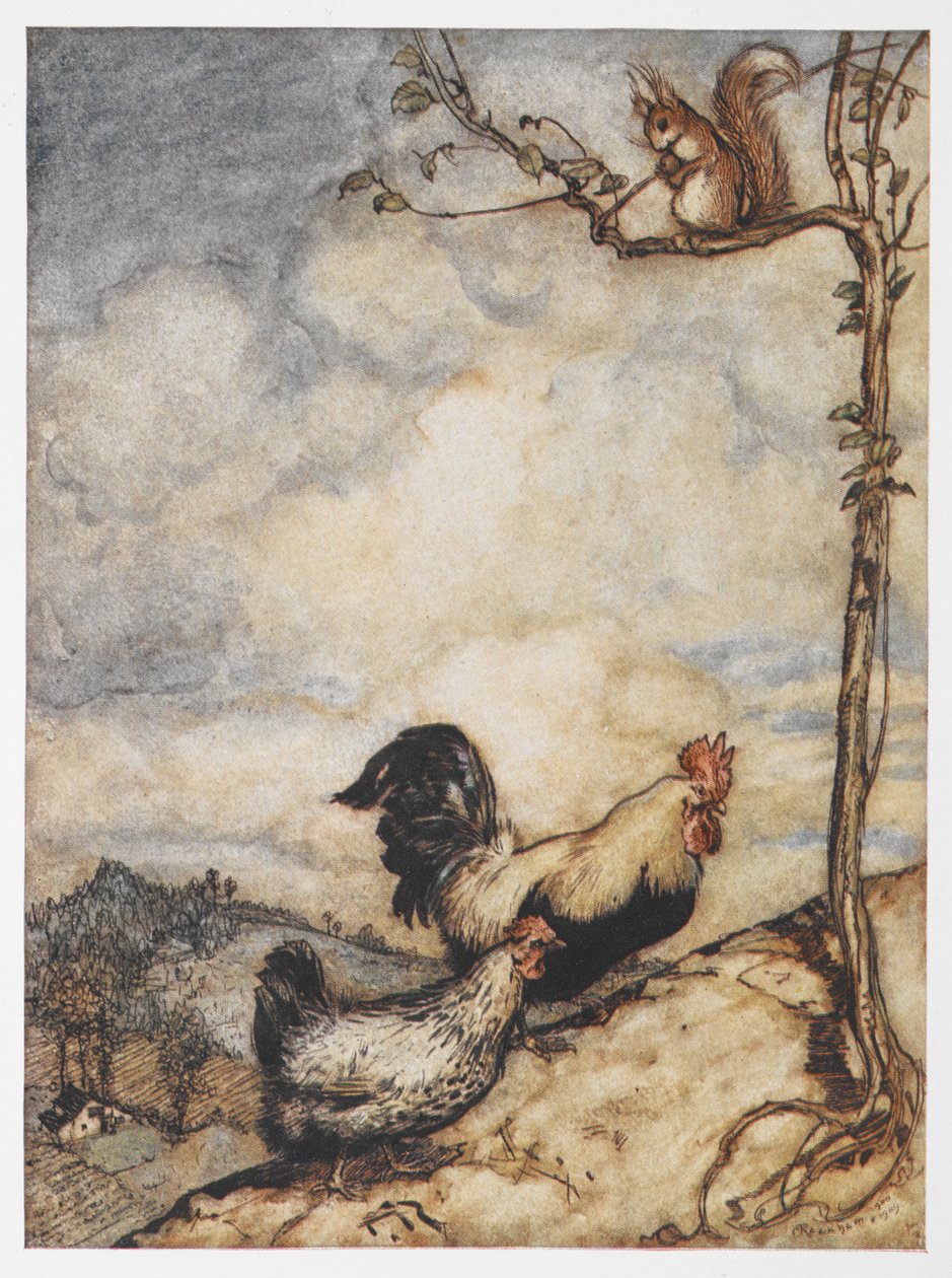 Ilustracja przedstawiająca kurę, koguta i wiewiórkę z Przygód Chanticleera i Partleta. autorstwa Arthur Rackham