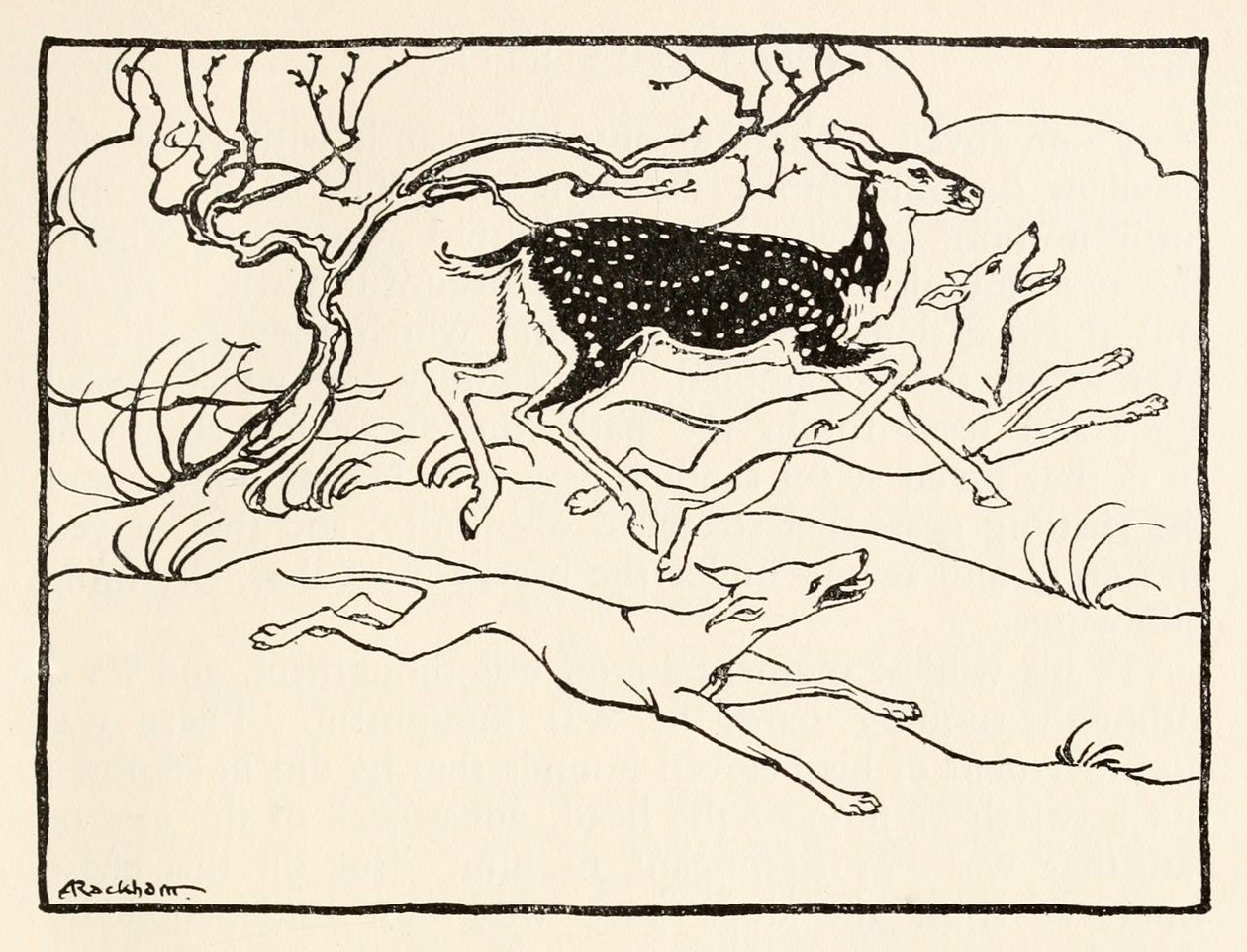 Becfola w swoim rydwanie z filmu Zaloty Becfola w irlandzkich bajkach Zobacz opis autorstwa Arthur Rackham