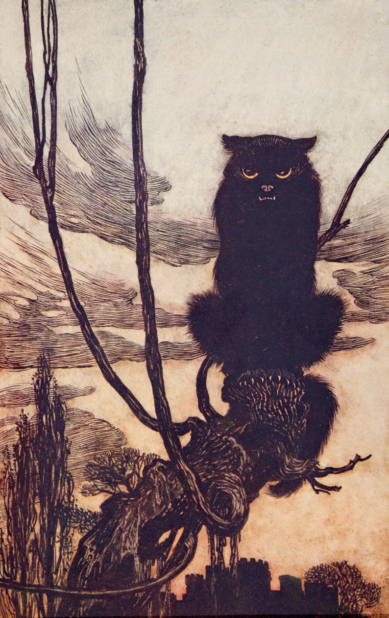Za dnia przemieniła się w kota?, z The Fairy Tales of the Brothers Grimm, wyd. 1909 autorstwa Arthur Rackham
