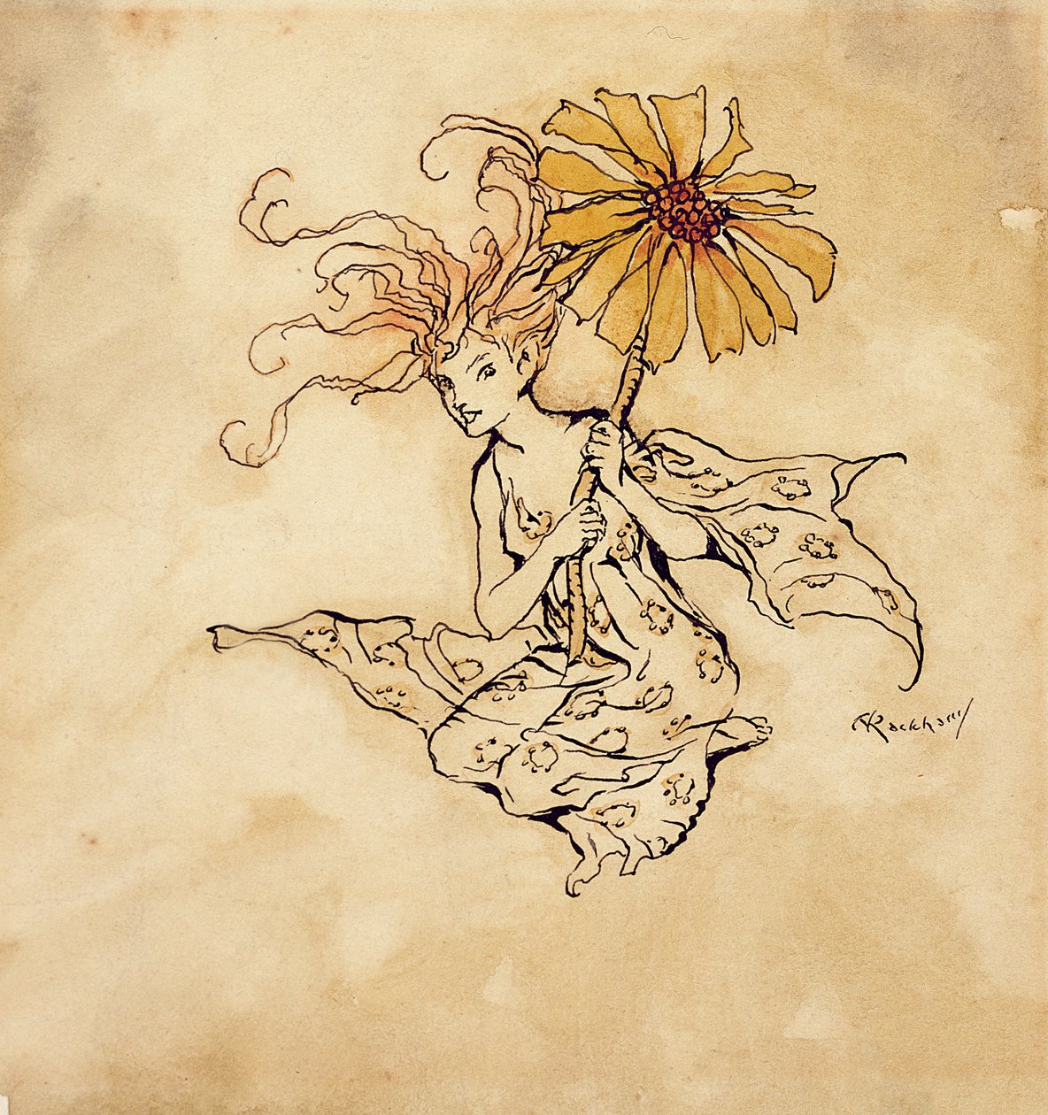 Daisy Fairy, ilustracja z Piotrusia Pana w Kensington Gardens, autorstwa J.M. Barrie, opublikowana w 1912 r. (pióro, atrament i toaleta na papierze) autorstwa Arthur Rackham