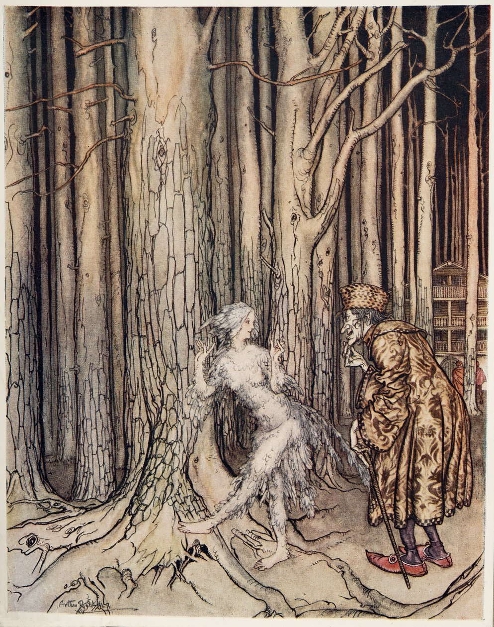 Fitchers Bird, z Little Brother & Little Sister and Other Tales by the Brothers Grimm, wyd. 1917 autorstwa Arthur Rackham