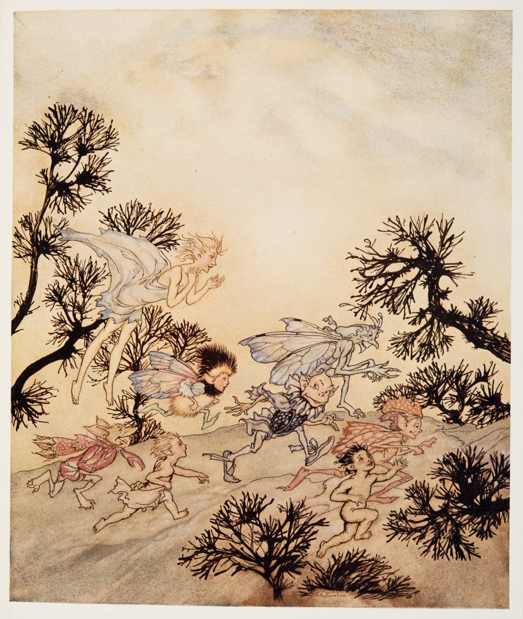 Idź oskarżyć moje gobliny, że zmiażdżą sobie stawy w suchych konwulsjach, ilustracja z wyd. William Shakespeares The Tempest. 1926 autorstwa Arthur Rackham