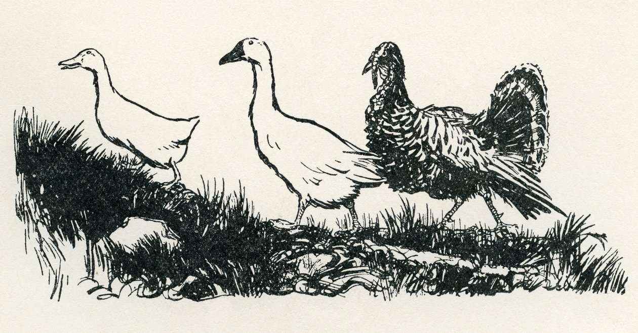 Henny-Penny autorstwa Arthur Rackham