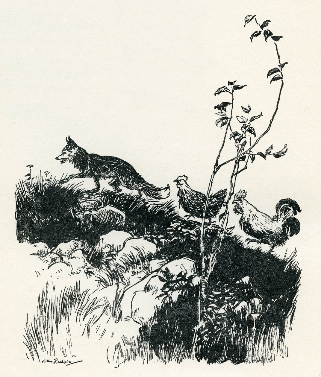 Henny-Penny autorstwa Arthur Rackham