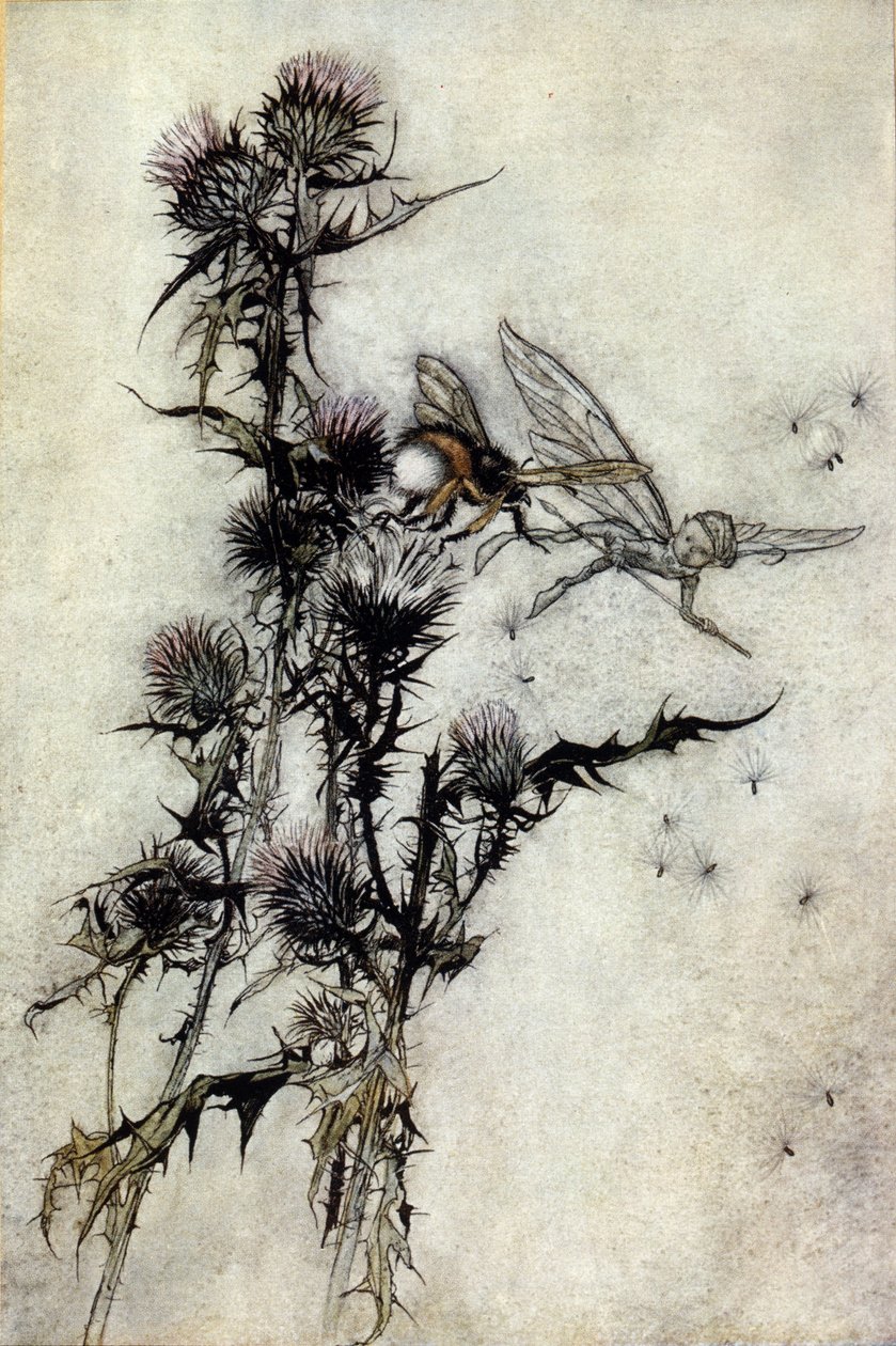 Ilustracja Arthura RACKHAMA (1867-1939) do „Snu letniej nocy” Williama Szekspira autorstwa Arthur Rackham