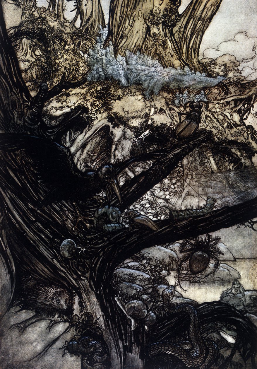Ilustracja Arthura RACKHAMA (1867-1939) do „Snu letniej nocy” Williama Szekspira autorstwa Arthur Rackham