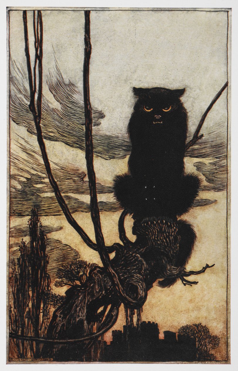 Ilustracja od Jorindy i Joringela przedstawiająca czarnego kota. autorstwa Arthur Rackham