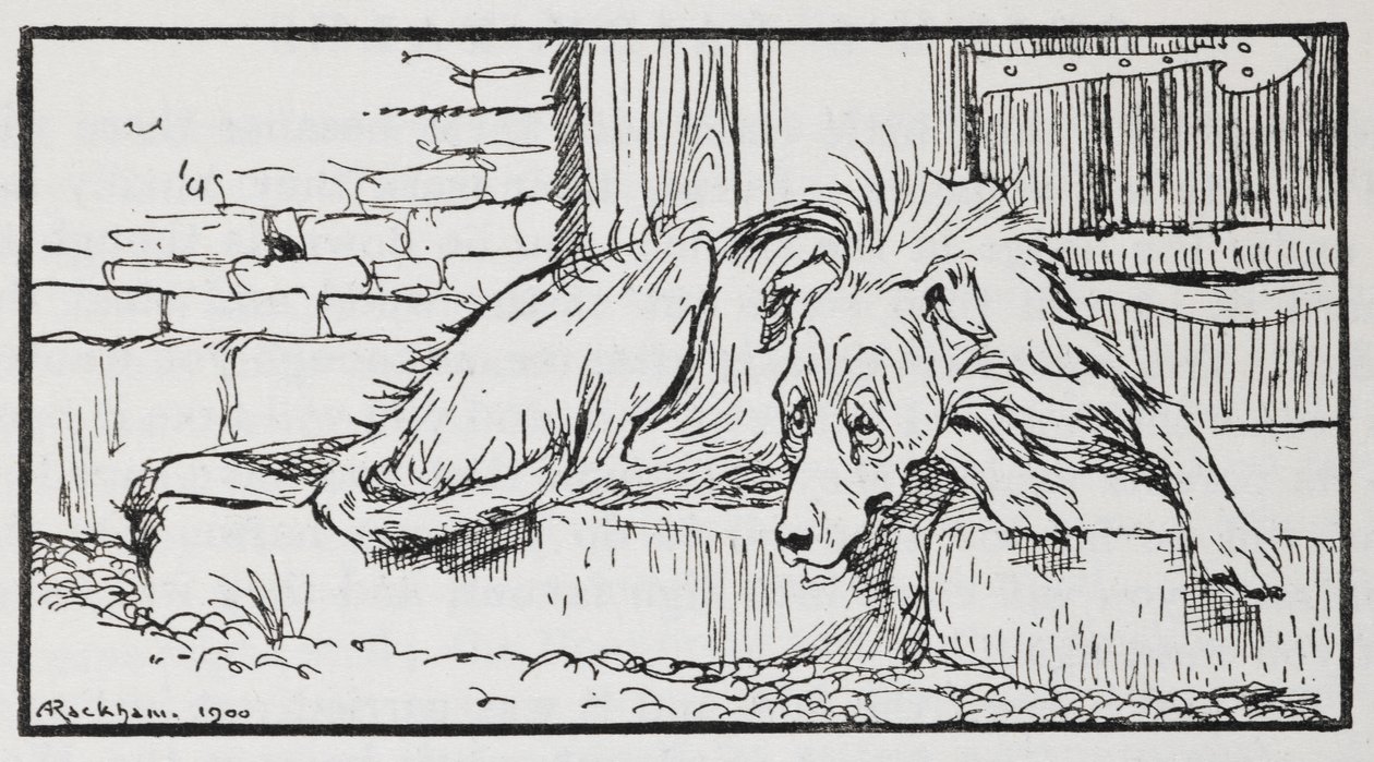 Ilustração do Velho Sultão de um dog.polish autorstwa Arthur Rackham