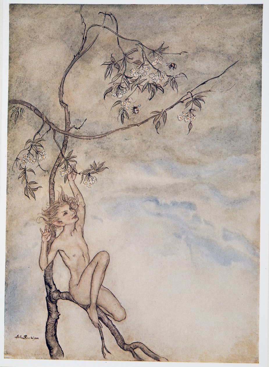 Wesoło, wesoło będę żył teraz pod kwiatem wiszącym na konarze, ilustracja z wyd. William Shakespeares Burza. 1926 autorstwa Arthur Rackham