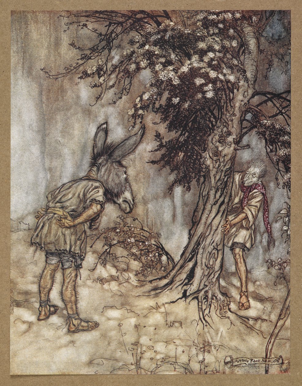 polish autorstwa Arthur Rackham